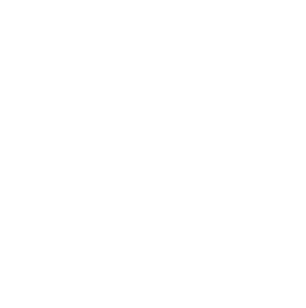 LES MONNAIES DE NOTRE DAME -w